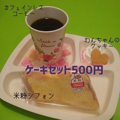 一軒家を改装したワンちゃん専門の施設です。ドッグカフェ・ペットホテル・レンタルルーム・ドッグランを併設